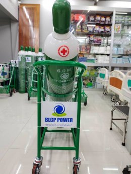 บีแอลซีพี เพาเวอร์ จำกัด