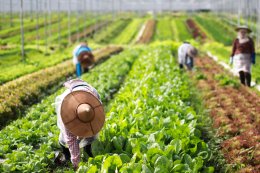 ปตท. น้ำมันและการค้าปลีก จำกัด (มหาชน)