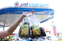 ปตท. น้ำมันและการค้าปลีก จำกัด (มหาชน)