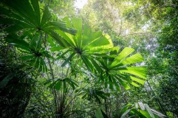 ผลิตไฟฟ้า จำกัด (มหาชน)