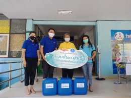 ดาว ประเทศไทย