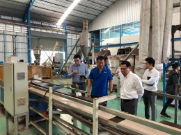 ดาว ประเทศไทย