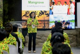 ดาว ประเทศไทย