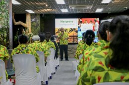 ดาว ประเทศไทย