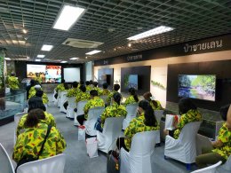 ดาว ประเทศไทย