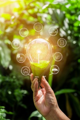 บางจาก คอร์ปอเรชั่น จำกัด (มหาชน)