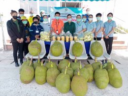 ปตท. น้ำมันและการค้าปลีก จำกัด (มหาชน)