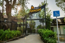 ปตท. น้ำมันและการค้าปลีก จำกัด (มหาชน)