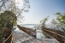 การไฟฟ้าฝ่ายผลิตแห่งประเทศไทย