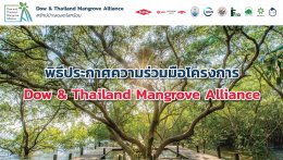 ดาว ประเทศไทย