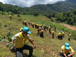 การไฟฟ้าฝ่ายผลิตแห่งประเทศไทย