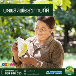 บีแอลซีพี เพาเวอร์ จำกัด