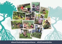 ดาว ประเทศไทย