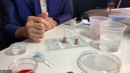 ดาว ประเทศไทย