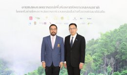 ไออาร์พีซี จำกัด (มหาชน)