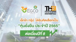 ผลิตไฟฟ้า จำกัด (มหาชน)
