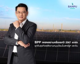 บ้านปู เพาเวอร์ จำกัด (มหาชน)