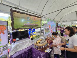 การไฟฟ้าฝ่ายผลิตแห่งประเทศไทย