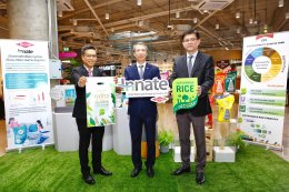 ดาว ประเทศไทย