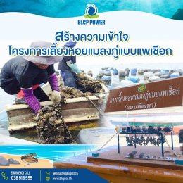บีแอลซีพี เพาเวอร์ จำกัด