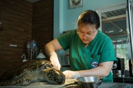 ปตท.สำรวจและผลิตปิโตรเลียม จำกัด (มหาชน)