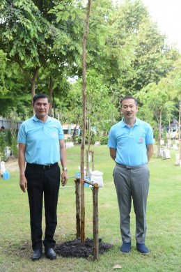 บางจาก คอร์ปอเรชั่น จำกัด (มหาชน)