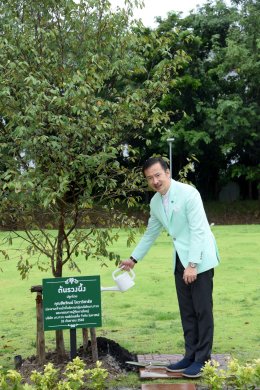 บางจาก คอร์ปอเรชั่น จำกัด (มหาชน)