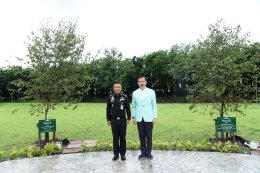 บางจาก คอร์ปอเรชั่น จำกัด (มหาชน)