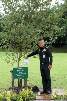 บางจาก คอร์ปอเรชั่น จำกัด (มหาชน)