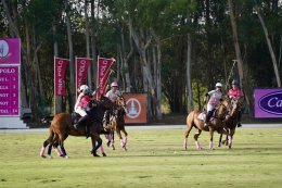 บี.กริม เพาเวอร์ จำกัด (มหาชน)