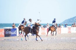 บี.กริม เพาเวอร์ จำกัด (มหาชน)