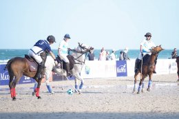 บี.กริม เพาเวอร์ จำกัด (มหาชน)