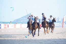 บี.กริม เพาเวอร์ จำกัด (มหาชน)