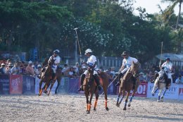 บี.กริม เพาเวอร์ จำกัด (มหาชน)