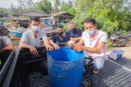 ปตท. สำรวจและผลิตปิโตรเลียม จำกัด (มหาชน)