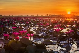 ปตท. จำกัด (มหาชน)