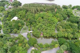 ปตท. จำกัด (มหาชน)