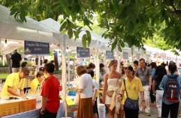 ปตท. จำกัด (มหาชน)