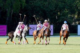 บริษัท บี.กริม เพาเวอร์ จำกัด (มหาชน)