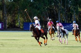 บริษัท บี.กริม เพาเวอร์ จำกัด (มหาชน)