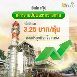 ผลิตไฟฟ้า จำกัด (มหาชน)