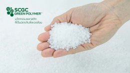 ปูนซิเมนต์ไทย จำกัด (มหาชน)