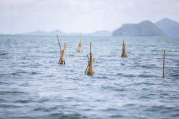 ปตท. สำรวจเเละผลิตปิโตรเลียม จำกัด (มหาชน)