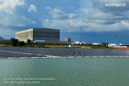 บ้านปู เน็กซ์ จำกัด