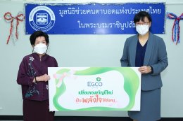 ผลิตไฟฟ้า จำกัด (มหาชน)