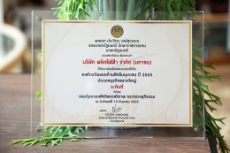 ผลิตไฟฟ้า จำกัด (มหาชน)
