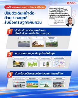 ปูนซิเมนต์ไทย จำกัด (มหาชน)