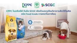 บริษัท เอสซีจี เคมิคอลส์ จำกัด (มหาชน)
