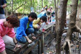 การไฟฟ้าฝ่ายผลิตแห่งประเทศไทย