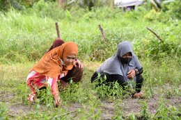 การไฟฟ้าฝ่ายผลิตแห่งประเทศไทย